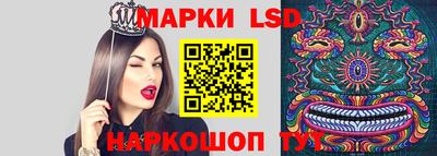 крисы Будённовск