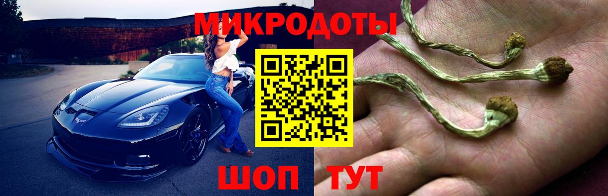 Галлюциногенные грибы GOLDEN TEACHER Семилуки