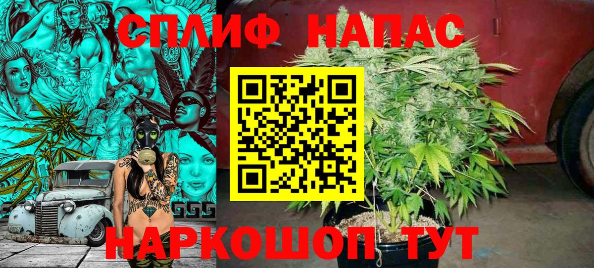 Марихуана Amnesia Семилуки