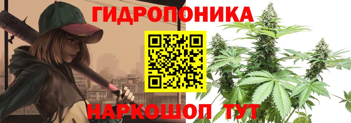 Конопля конопля  Вход с VPN  Семилуки  Бошки марихуана гибрид  Канабис MAZAR  Марихуана тримм 